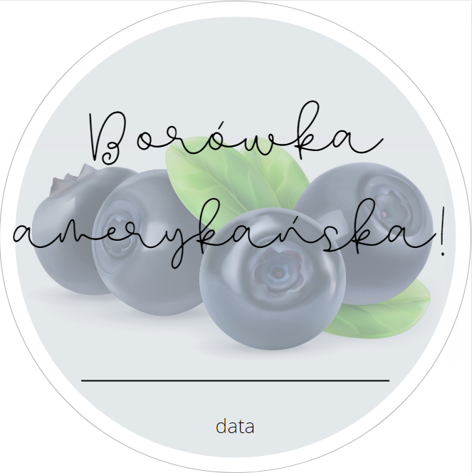 244 Naklejki na przetwory BORÓWKA AMERYKAŃSKA - obrazek 1