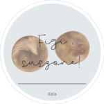 Naklejki FIGI SUSZONE
