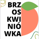 Naklejki na alkohol BRZOSKWINIÓWKA