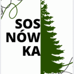 Naklejki na alkohol SOSNÓWKA